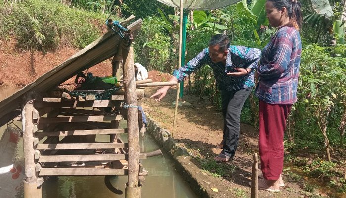 Pemdes Cikupa Ciamis Minta Warga Waspada Dengan Kemunculan Macan dlvr.it/STVc7r