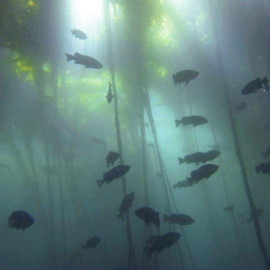 ᴾˢᵗ, ʰᵉʸ ʸᵒᵘ ʷᵃⁿᵗ ᵗᵒ ᵗʳʸ ˢᵒᵐᵉ ᶠᵃⁿᵗᵃˢʸ ᶜᵒᵏᵉ?