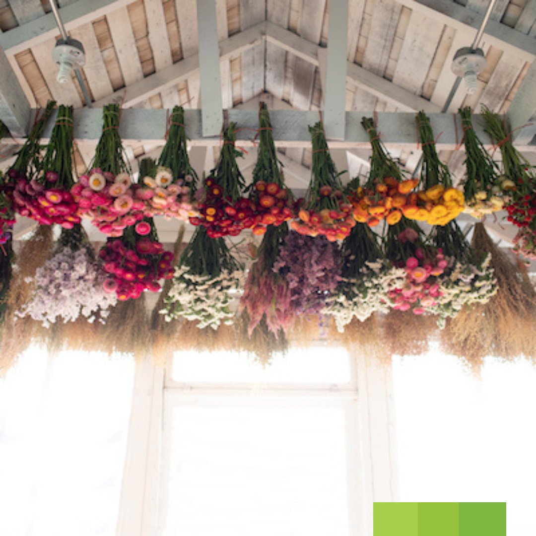 FGmarket's tweet photo. My Flower Stop is passionate about making flowers accessible to everyone! Check out their quality selection and so much more at https://t.co/heY37ZaE2n https://t.co/lukpv7cHRR