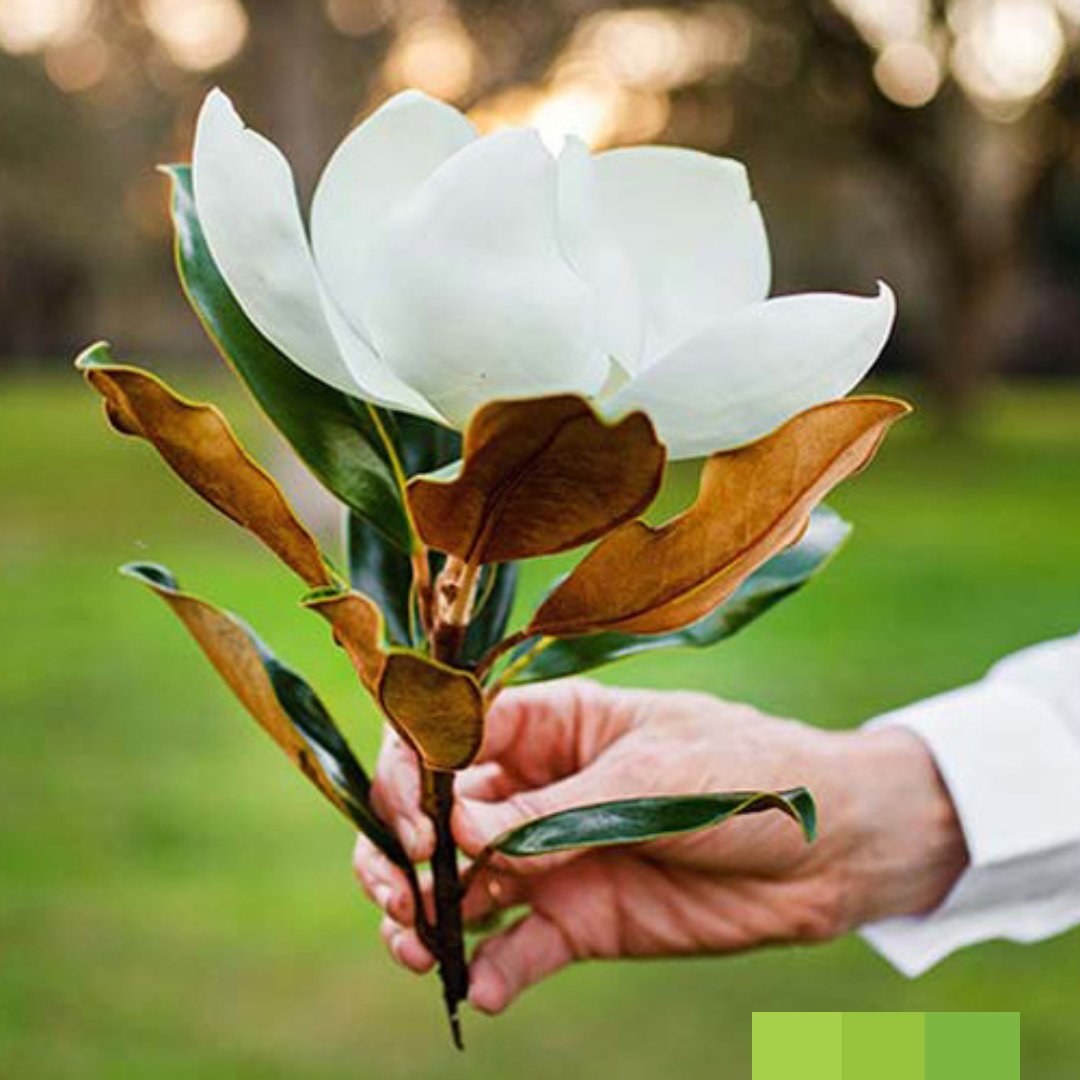 FGmarket's tweet photo. My Flower Stop is passionate about making flowers accessible to everyone! Check out their quality selection and so much more at https://t.co/heY37ZaE2n https://t.co/lukpv7cHRR