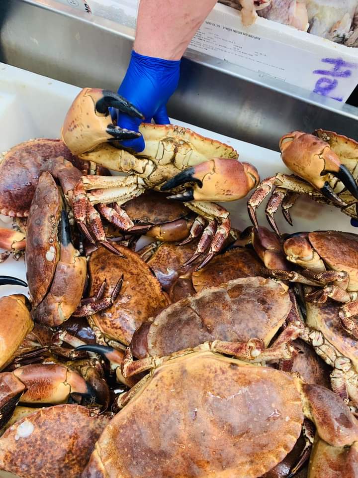 LeedsMarkets's tweet photo. Wow ... the size of that crab 👀🦀

#wontfindthatinthesupermarket #freshcrab #freshmonkfish #leeds #shoplocal #shoplocal #fresh #freshfish #massive #mega #megacrab #leedsmarkets https://t.co/OKu4Wo3tcZ