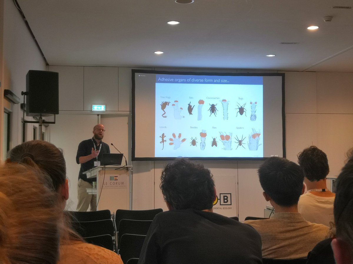 BlankeLab tweet media