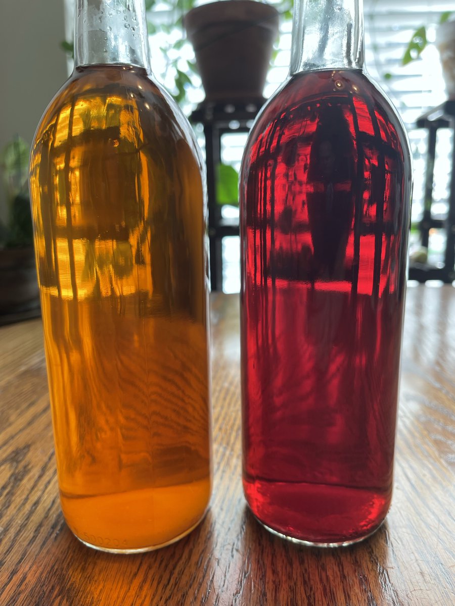 BrewingDaddy's tweet photo. Homemade Strawberry wine and Blueberry wine after bottling.
#blueberrywine #strawberrywine #fruitwine #homemadewine #homemadeblueberrywine #homewinemaking #winefromfruit #winemaking #homevintner https://t.co/dmx3DtUCyL