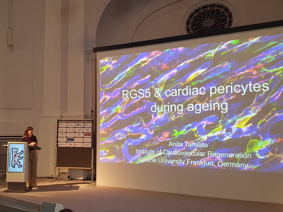 AnitaTamiato's tweet photo. Nice to be in Berlin talking about pericytes and happy for having been part of the Aletta Jacobs Award Session! #GfMVB https://t.co/88RCAJYWKo