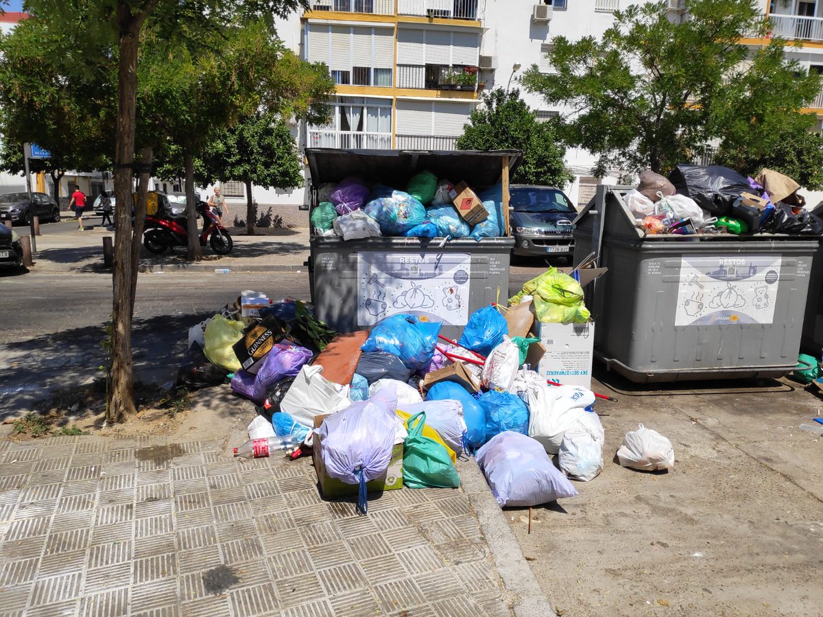 LaSita29's tweet photo. Que sí, que somos muy guarros, pero que vosotros no hacéis vuestro trabajo, también @Ayto_Sevilla https://t.co/5X6gO6cz73