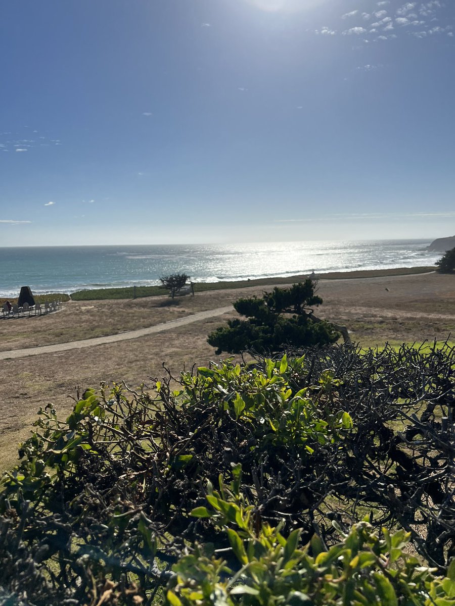 GREGREITMAN's tweet photo. Monterey https://t.co/wLwtAckKIJ