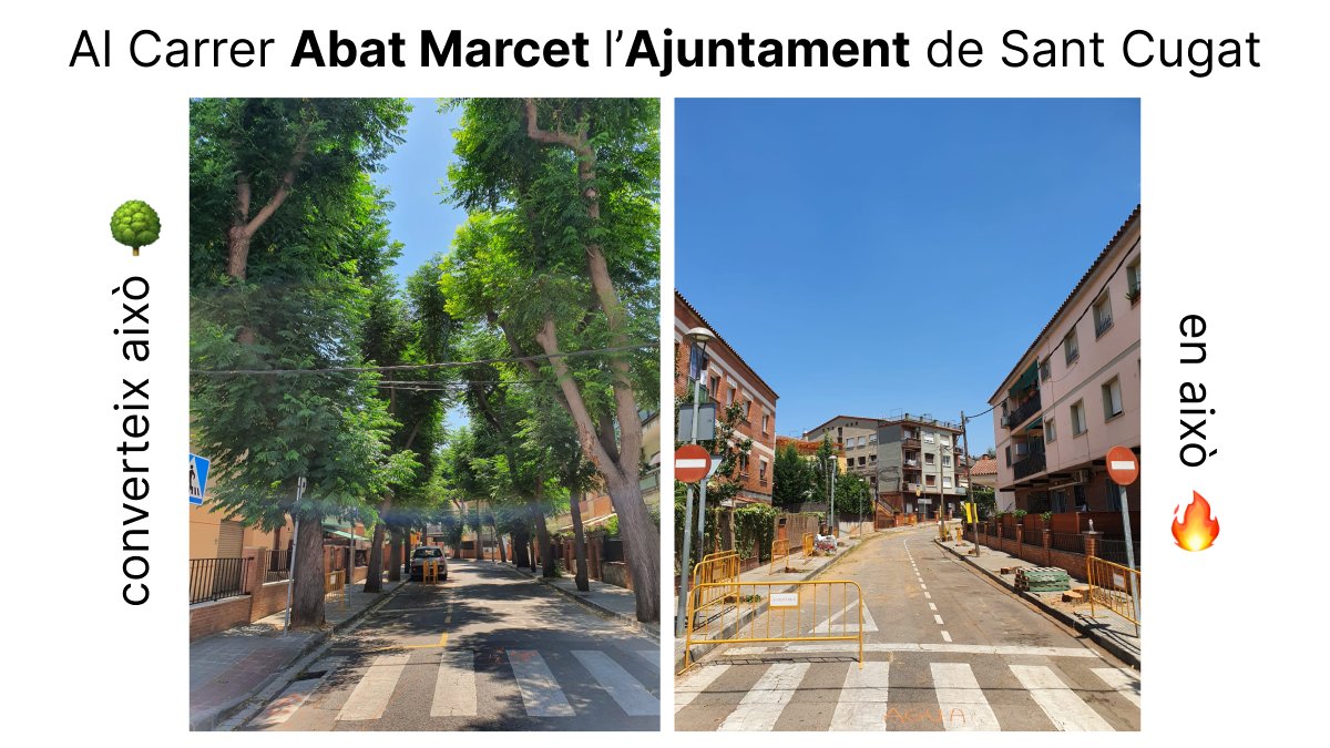 willimaese's tweet photo. @JoseGallardoSTQ has fet una desgràcia al carrer Abat Marcet. Tot per esgarrapar 4 vots. Estic inmensament trist. Podries haver fet un carrer peatonal i respectant l'arbrat. Però no. Has triat el camí fácil. https://t.co/0mooUyyLvG