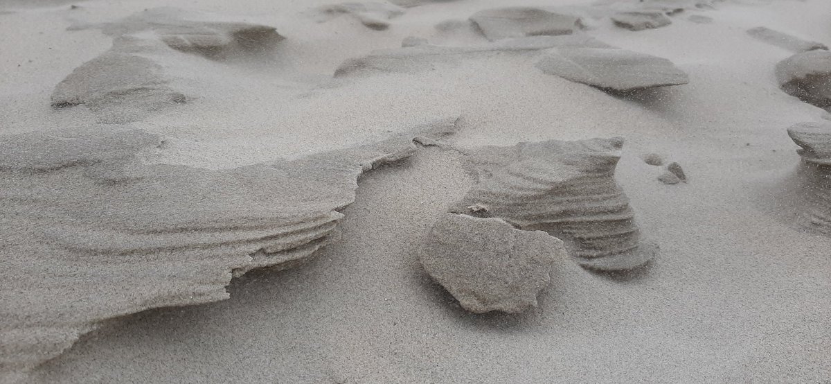 Cees Beukema tweet media