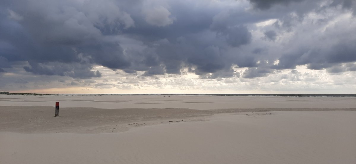 Cees Beukema tweet media