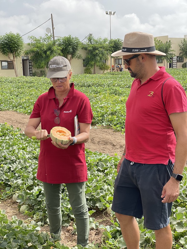 REVISTAFYH's tweet photo. @BASF_AgroES ‘revitaliza’ la #sandía y el #melón con una ‘lluvia’ de #conceptos y soluciones innovadoras https://t.co/DjU4lu5ugB @elviravitores @diego_maestre https://t.co/Am7QmZHfEC