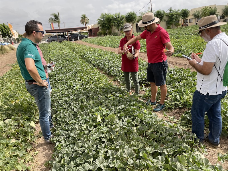 REVISTAFYH's tweet photo. @BASF_AgroES ‘revitaliza’ la #sandía y el #melón con una ‘lluvia’ de #conceptos y soluciones innovadoras https://t.co/DjU4lu5ugB @elviravitores @diego_maestre https://t.co/Am7QmZHfEC