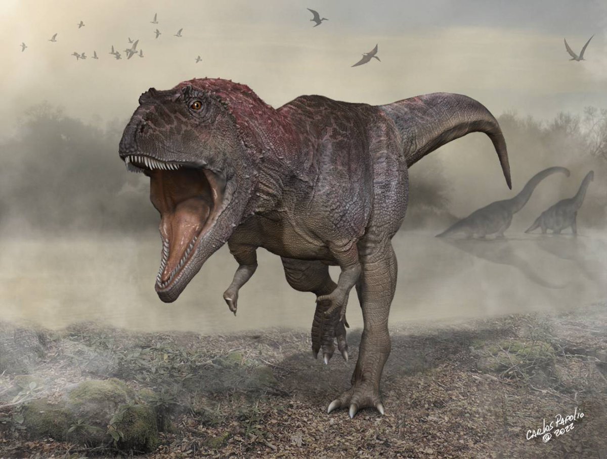 agencia_sinc's tweet photo. Nueva especie de gran dinosaurio descubierta en Argentina: ‘Meraxes gigas’, llamada como uno de los dragones de las novelas en las que se inspiró 'Juego de Tronos'
🖋 @fedkukso 
https://t.co/2D4AtmeSGj https://t.co/U6PzYeR0hI