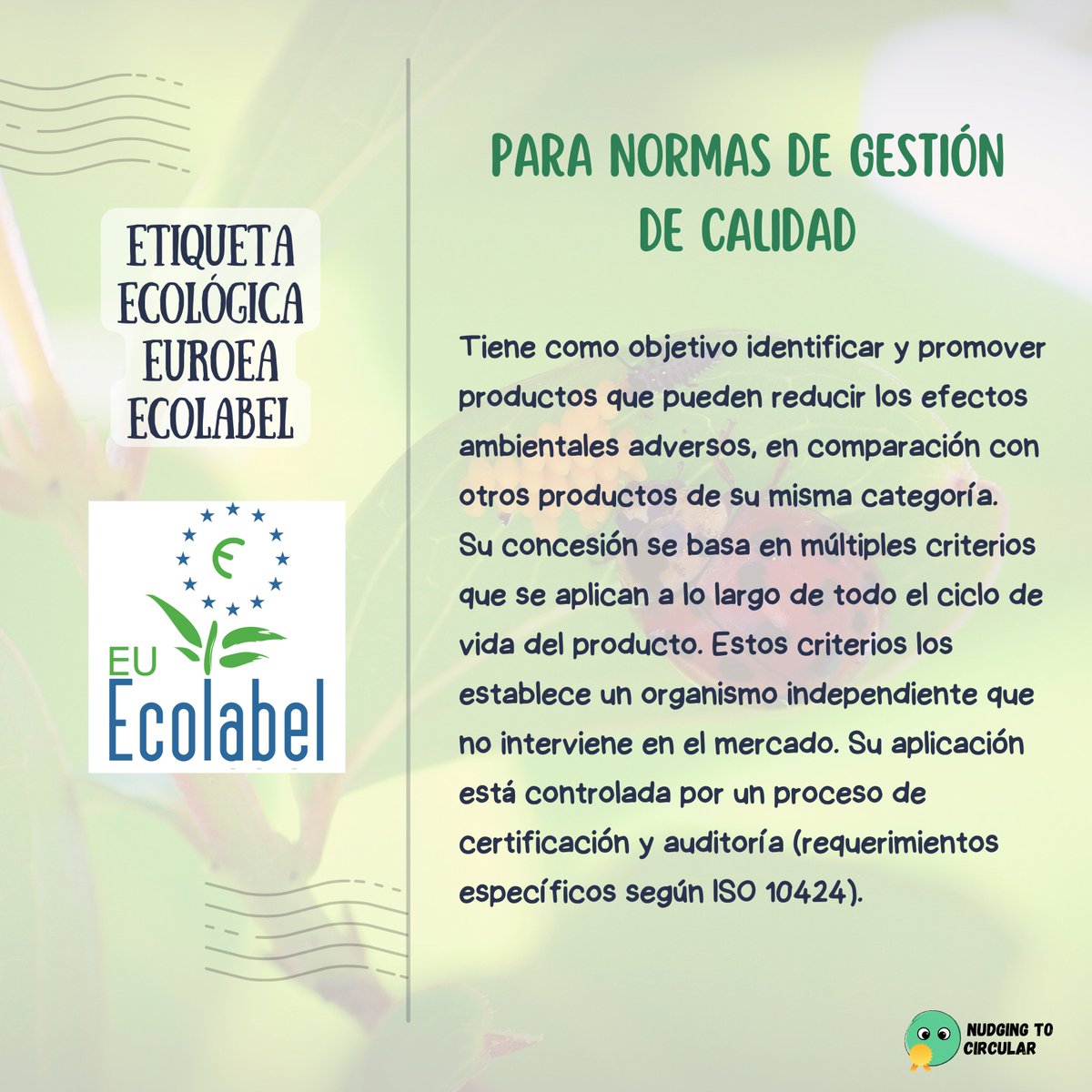 NudgingToCircular tweet media