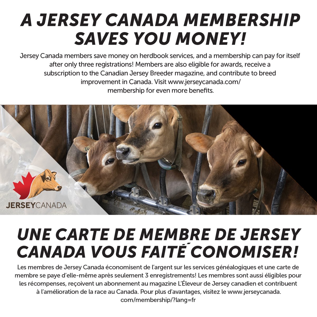 JerseyCanada's tweet photo. https://t.co/dBfb1uE8Kl