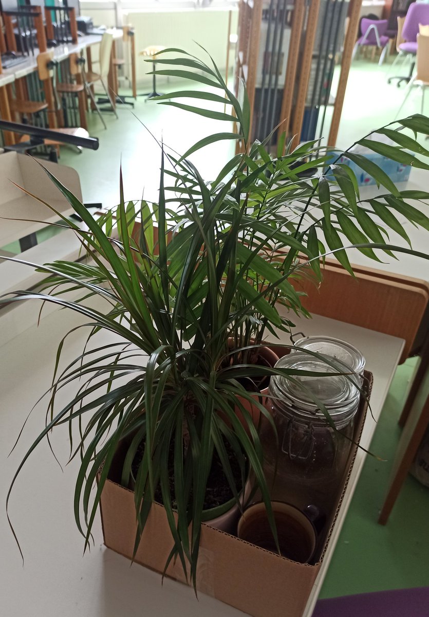 BezoutCdi's tweet photo. @lyceebezout77  Ça y'est le CDI est rangé (😅😉), tout le monde part se reposer, même les plantes! 
Nous vous souhaitons de belles vacances ensoleillées, reposantes et plaisantes🧘‍♂️🏄‍♀️⛱️🏔 et surtout de belles lectures à partager avec nous à la rentrée 😊🥰
#vacances2022  #Nemours https://t.co/BqQBpDnEWf