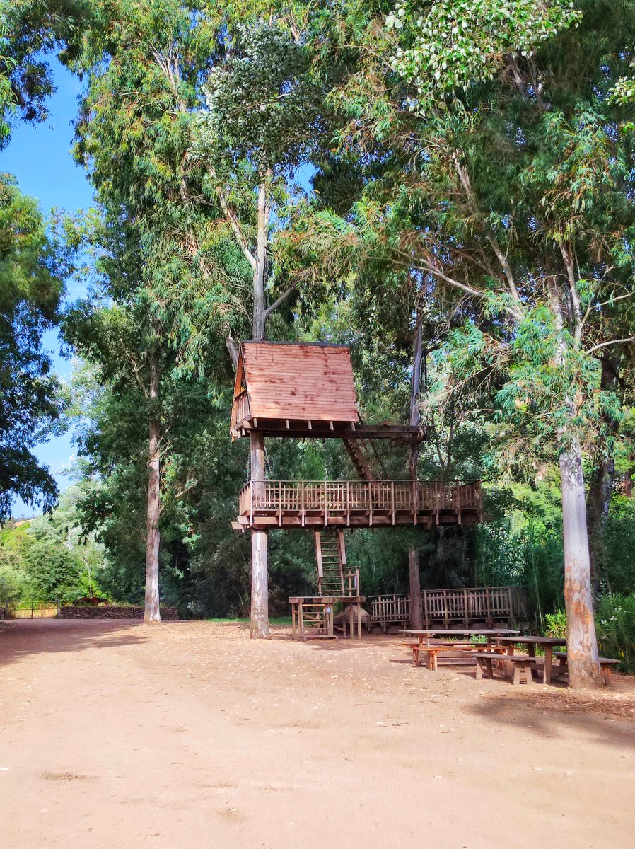 bimboinspalla's tweet image. Ieri abbiamo esaudito un altro desiderio e vissuto un'esperienza fantastica.

Siamo stati ad Allai e siamo saliti sulla Casa sull'Albero.

Ci siamo divertiti tantissimo!
@SardegnaTurismo