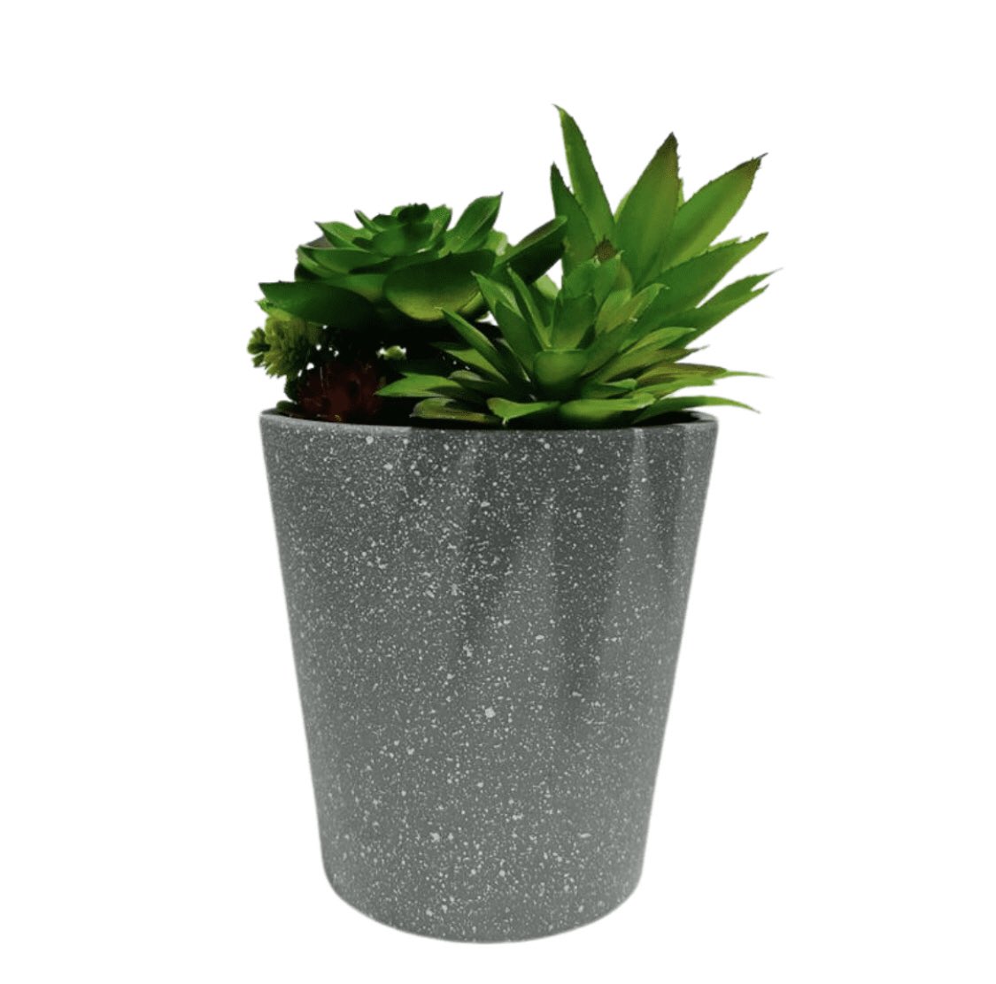 Grey Pot Succulent Plant

Price: ₦8,000.00

Height: 22 cm

#KosherSpaces #FauxPlant #Succulents #ShelfDecor