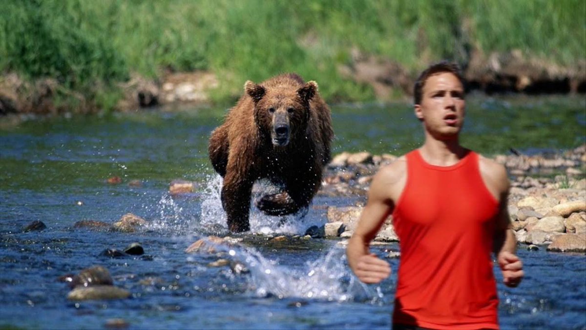DaCryptoGeneral's tweet image. Everyday Bear Market cleans #crypto from tourists