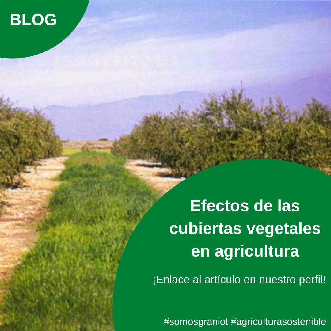 graniotES's tweet photo. 🌱 Hoy, en el Día Internacional de la Conservación del Suelo, recordamos nuestra entrada en el #BlogdeGraniot sobre cubiertas vegetales y su importancia en agricultura.
👩🌾 Y es que ser sostenibles con nuestra finca, es apostar por su salud.
🔗 Enlace: https://t.co/e15sEJ627M https://t.co/h8bIHxrdEj