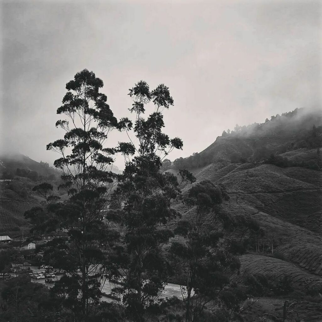 sliquer's tweet photo. A misty view of the highland in black and white.

#blackandwhite #bwphotography #mistymountain #highlandviews #holidaywithbae #holidaytravel #travelphotography #cameronhighlands https://t.co/4G4diUCMDe