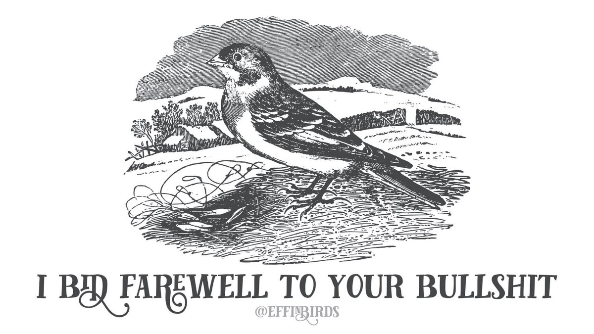 EffinBirds's tweet photo. https://t.co/uo6lYTuanM
