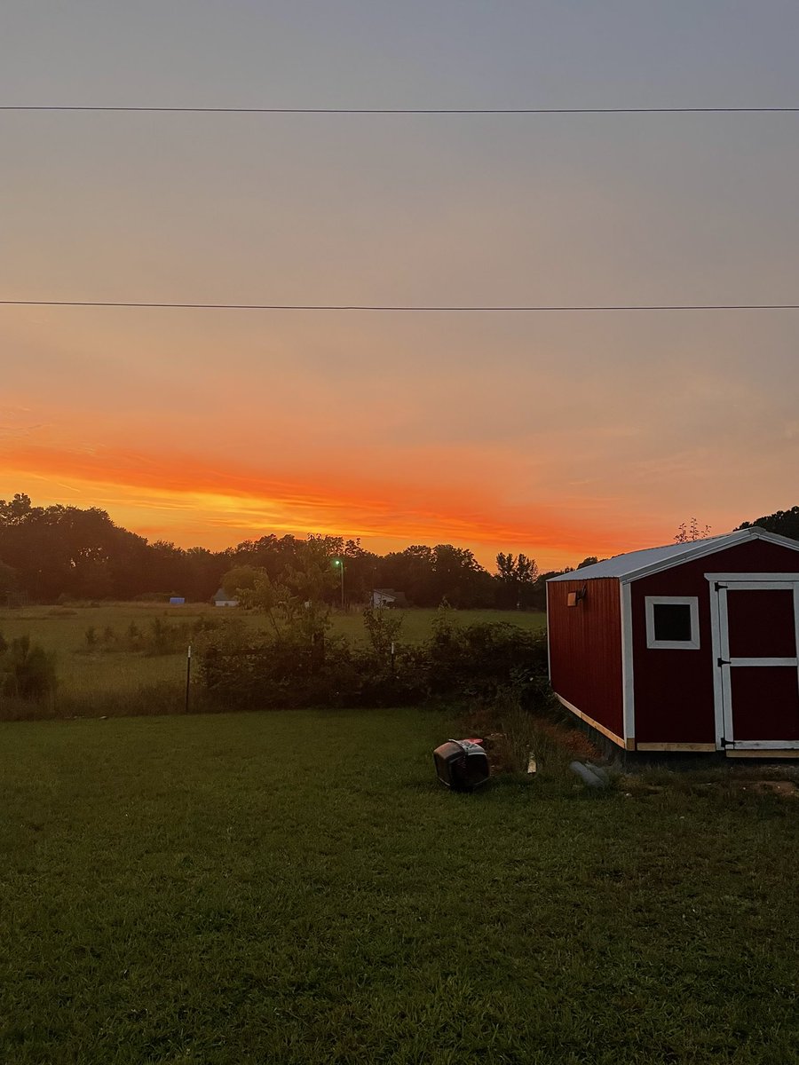 dlewlew's tweet photo. @Danak65 My little farm https://t.co/87VcaLzrGJ