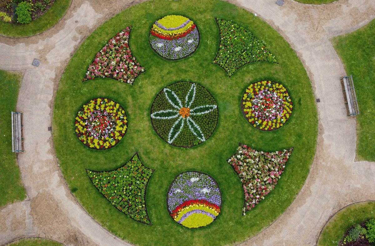 Amy Evans tweet media