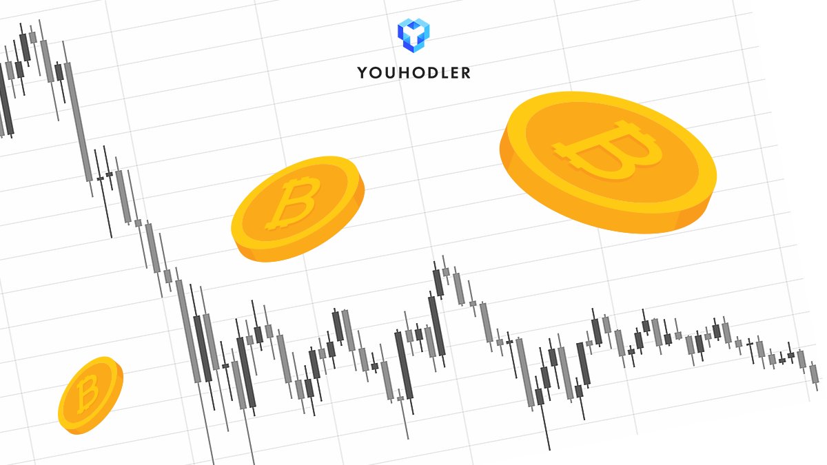 YouHodler tweet media