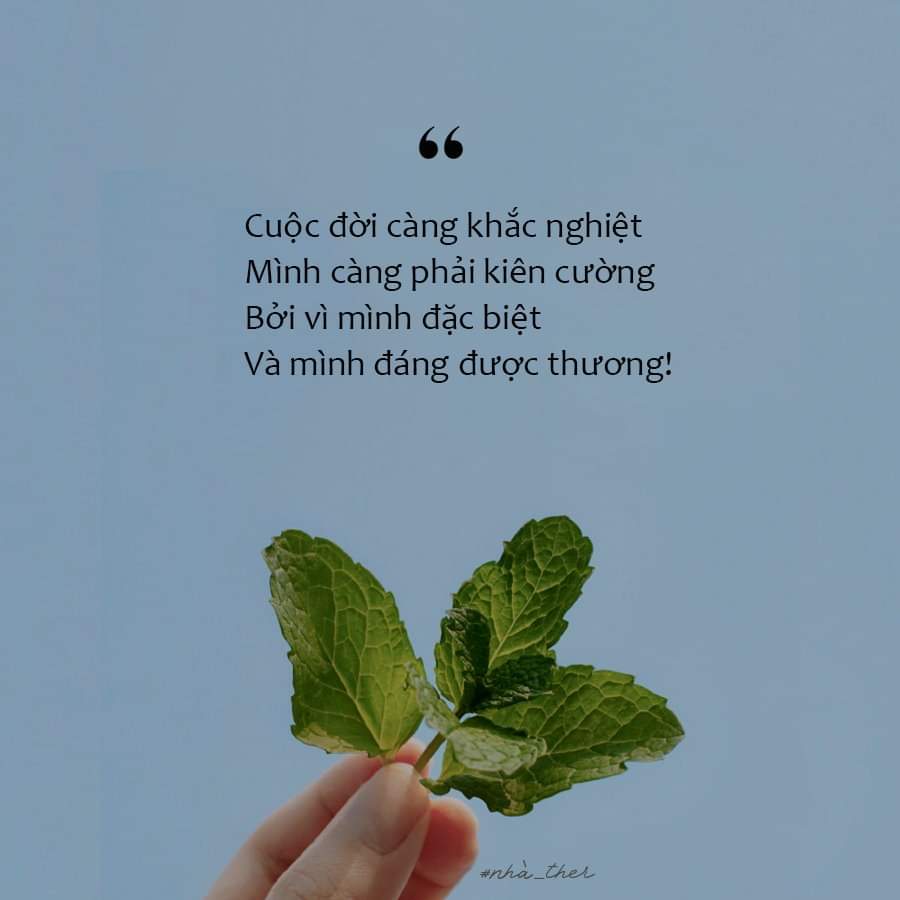 phuong699's tweet photo. https://t.co/tIKYK4Cd51
