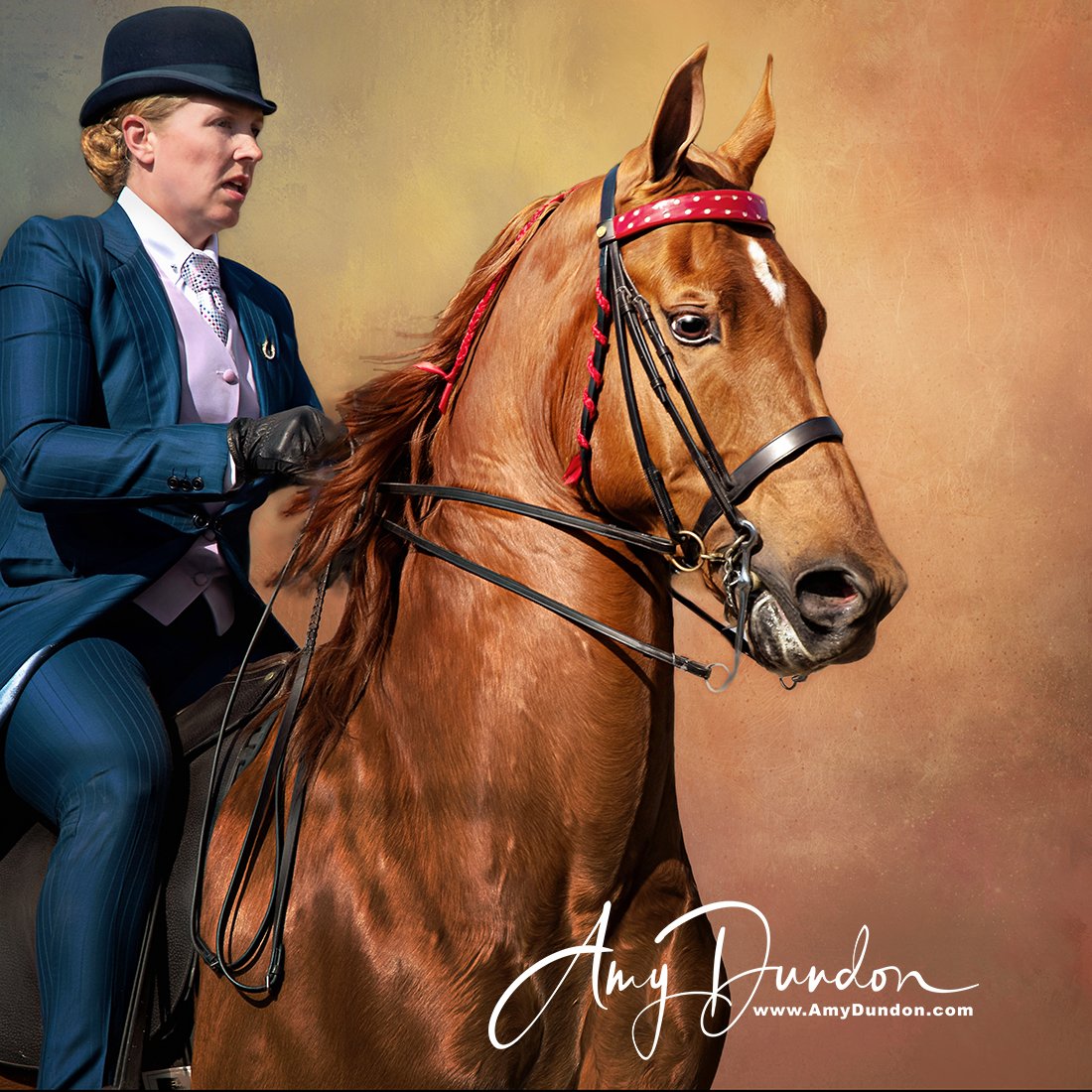 amy_dundon's tweet photo. Harmony between horse and rider: This beautiful Saddlebred Horse has an arched neck and alert ears while being ridden during a horse show at Broyhill Equestrian Preserve in Blowing Rock, NC.
https://t.co/dqSCJjAszK
#blowingrock #northcarolina #americansaddlebred #horseshow #JOY https://t.co/f5Q0KjQJ1b