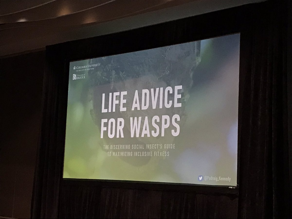 WaspWoman's tweet photo. Huge congratulations to @Padraig_Kennedy for winning the 1st ever #WestEberhardPrize for Promising Junior Scientist in #socialinsect research #IUSSI2022. Delight to introduce him & Mary Jane, who joined live from Costa Rica. Patrick’s lecture was, as always, outstanding #wasplove https://t.co/264anZ8Ngr