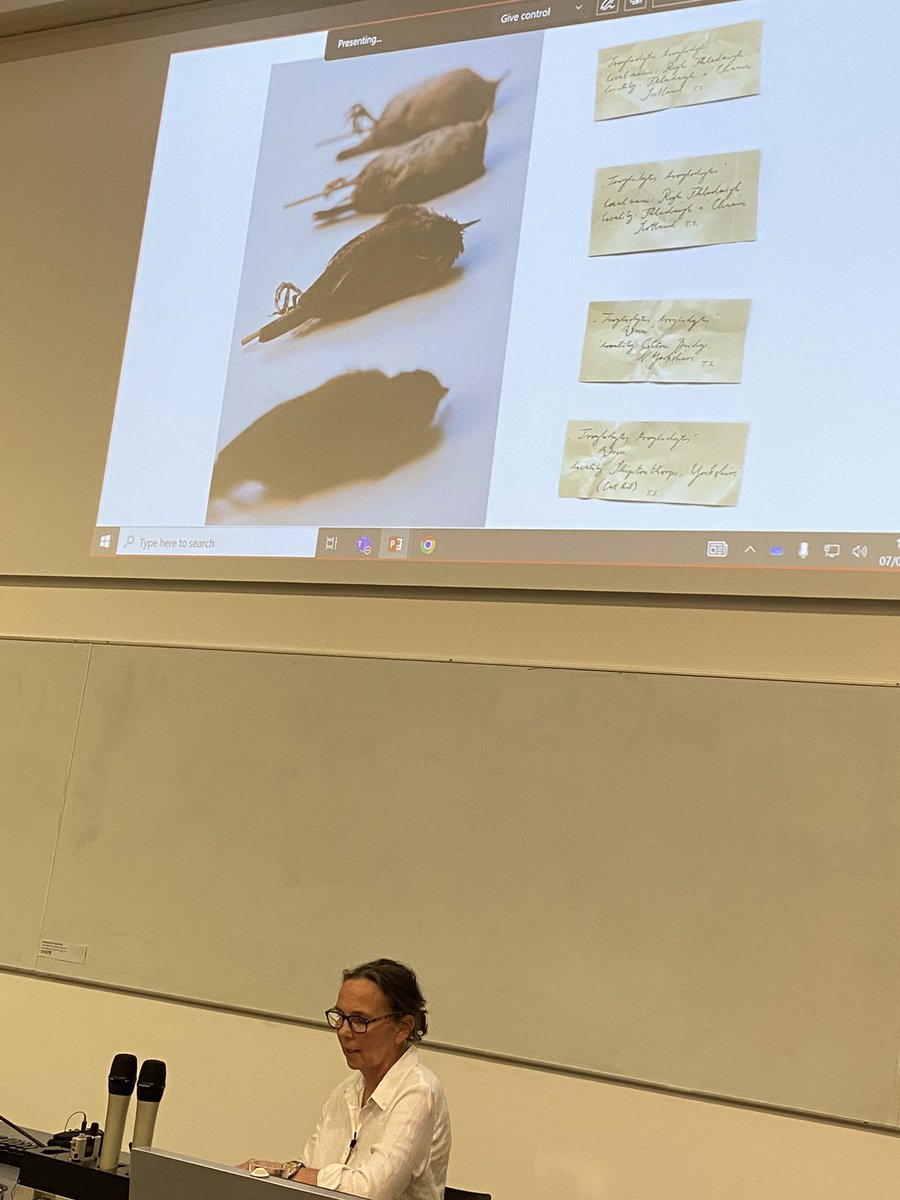 PlacesPrize's tweet photo. Sub species of wren from Scottish islands with Rebecca Chesney https://t.co/R9quyz6fnL