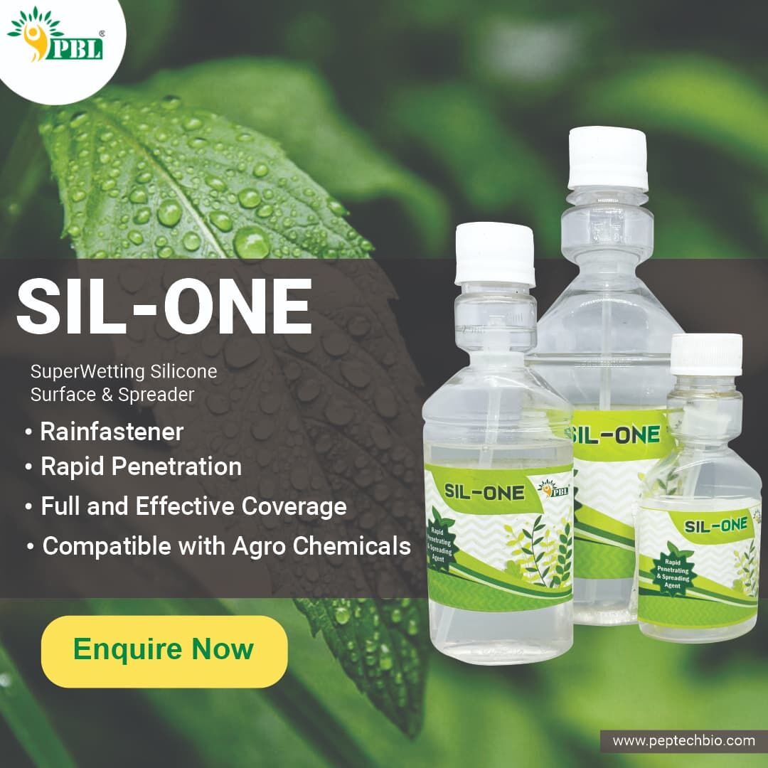 Silicon Oil (Sil-One) is new generation multi-action silicon based super spreader & #adjuvant with good rain-fastness & fast absorption rate. The clear solution is easily soluble and compatible with all #plantgrowthregulators, #herbicides, #pesticides, #fungicides & #acaricides.