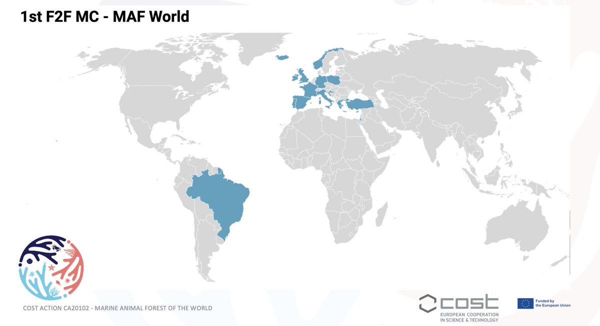 Marine Animal Forest of the World tweet media