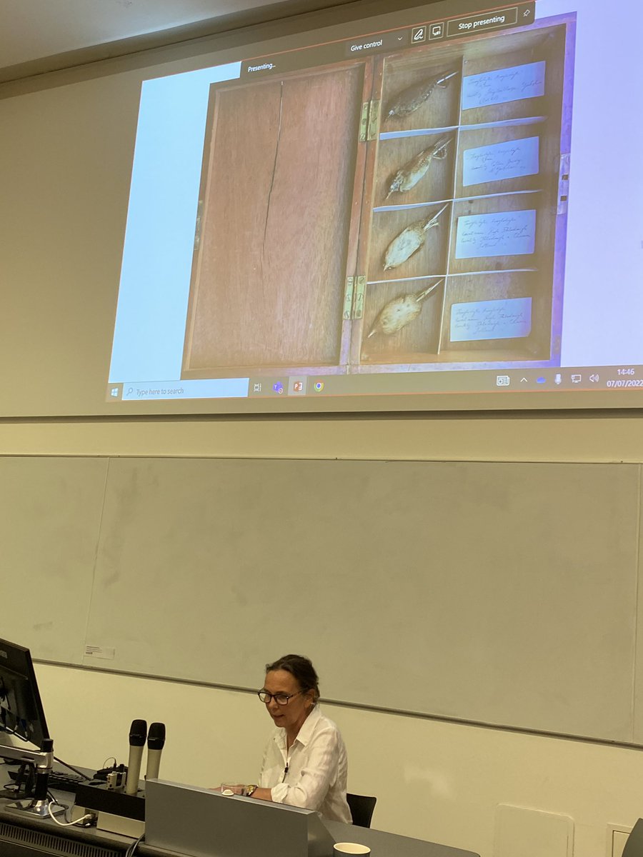 PlacesPrize's tweet photo. @FP_Centre listening to artist Rebecca Chesney talk about arts practice, study skins of wrens from a Scottish island. Amazing what you might find at a car boot sale… https://t.co/cNA87YIzIl