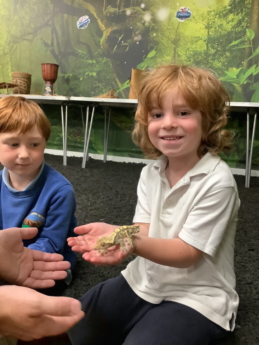 Pennardprimary's tweet photo. Dosbarth Derbyn have had a fabulous day exploring Plantasia. We thoroughly enjoyed our mini beast workshop. Everyone was very brave and held all the mini beasts! 🐜🍃#penfun https://t.co/jVaBARzEPc