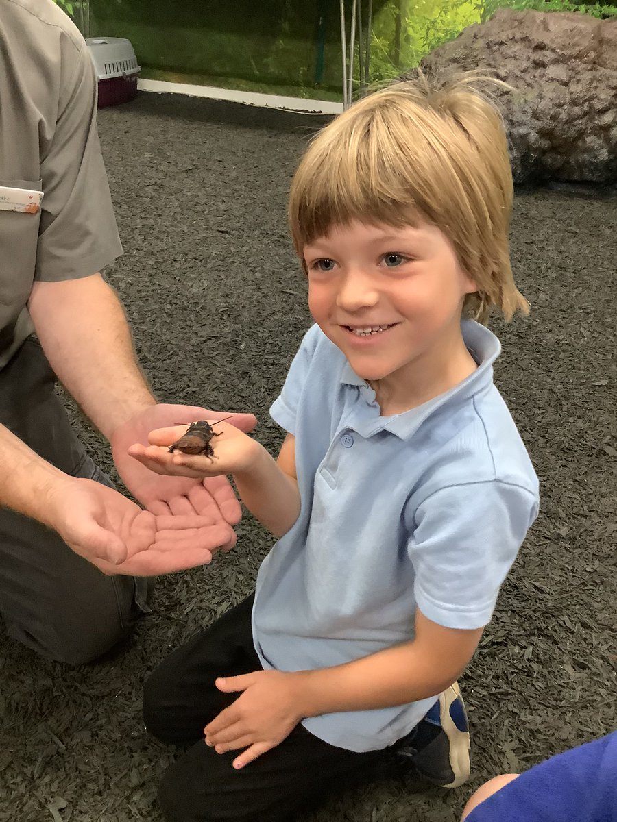 Pennardprimary's tweet photo. Dosbarth Derbyn have had a fabulous day exploring Plantasia. We thoroughly enjoyed our mini beast workshop. Everyone was very brave and held all the mini beasts! 🐜🍃#penfun https://t.co/jVaBARzEPc