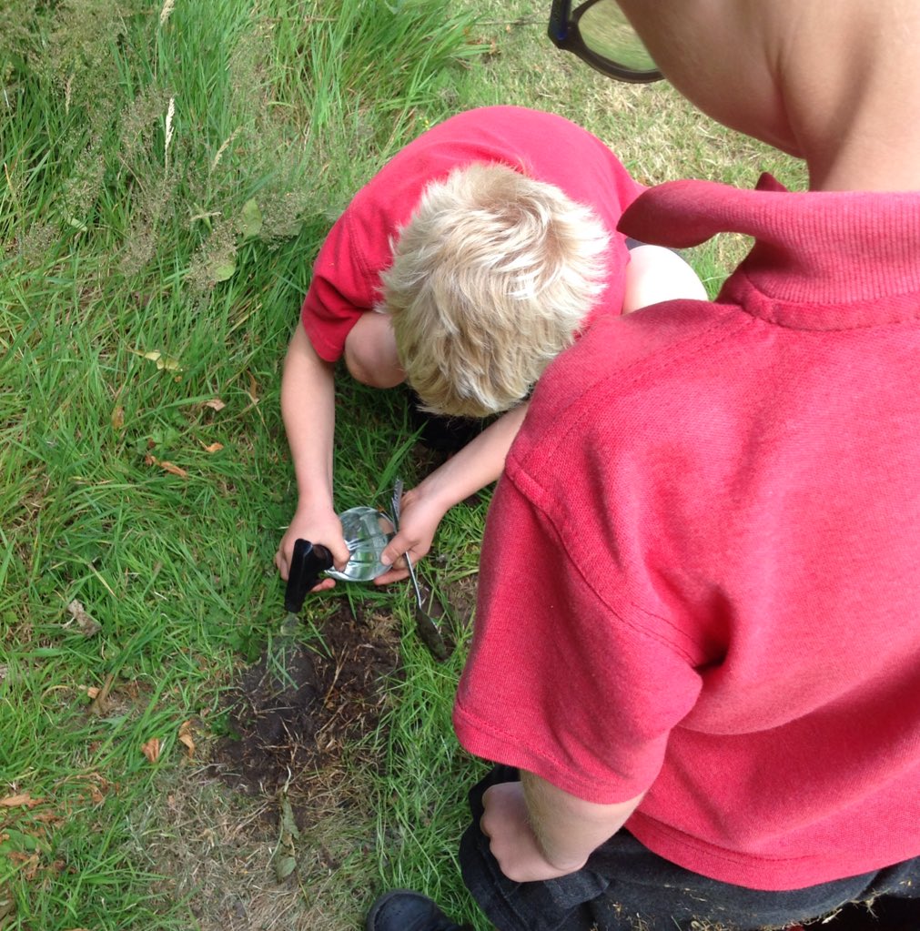 GreatBudworthps's tweet photo. Class 2 have spent the afternoon investigating worms. They've been finding them, comparing them and discussing the ecological impact they have 🐛 #classtwo #worms #scienceweek https://t.co/eCiHAupdMJ