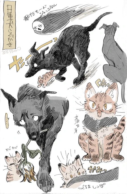 日車犬らくがき(獣化) 