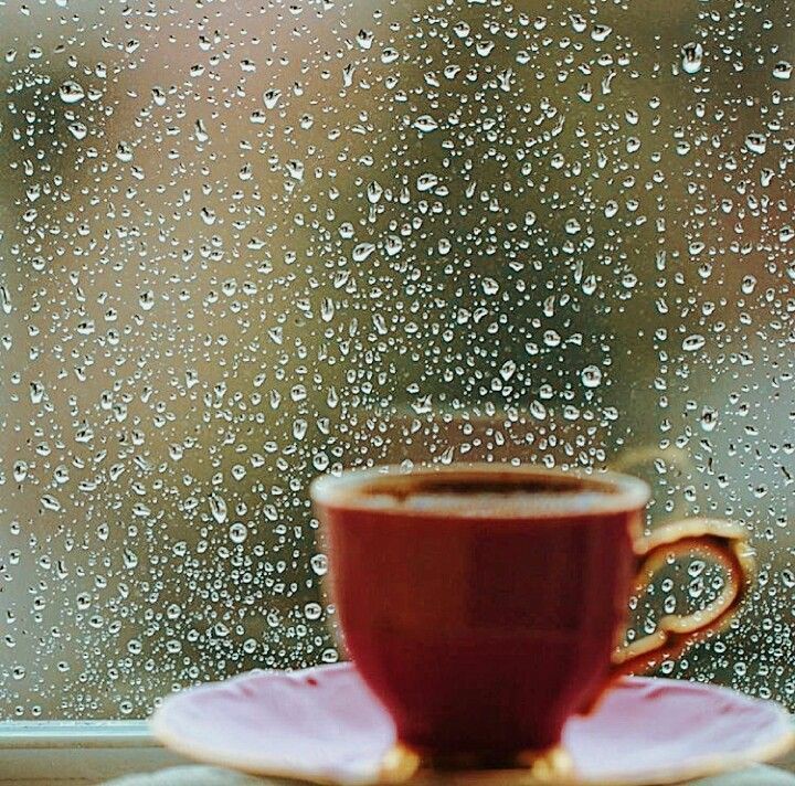 harichandanaias's tweet photo. Perfect evening...
#rainydays https://t.co/Z4vM2XDER6