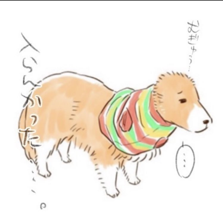 懐かしのインターネットショッピング失敗したイッヌ

#秘密結社老犬倶楽部 
#秘密結社老犬倶楽部天国支部 
#老犬日記 