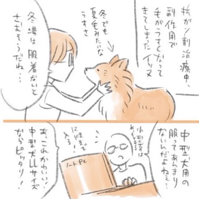 懐かしのインターネットショッピング失敗したイッヌ

#秘密結社老犬倶楽部 
#秘密結社老犬倶楽部天国支部 
#老犬日記 