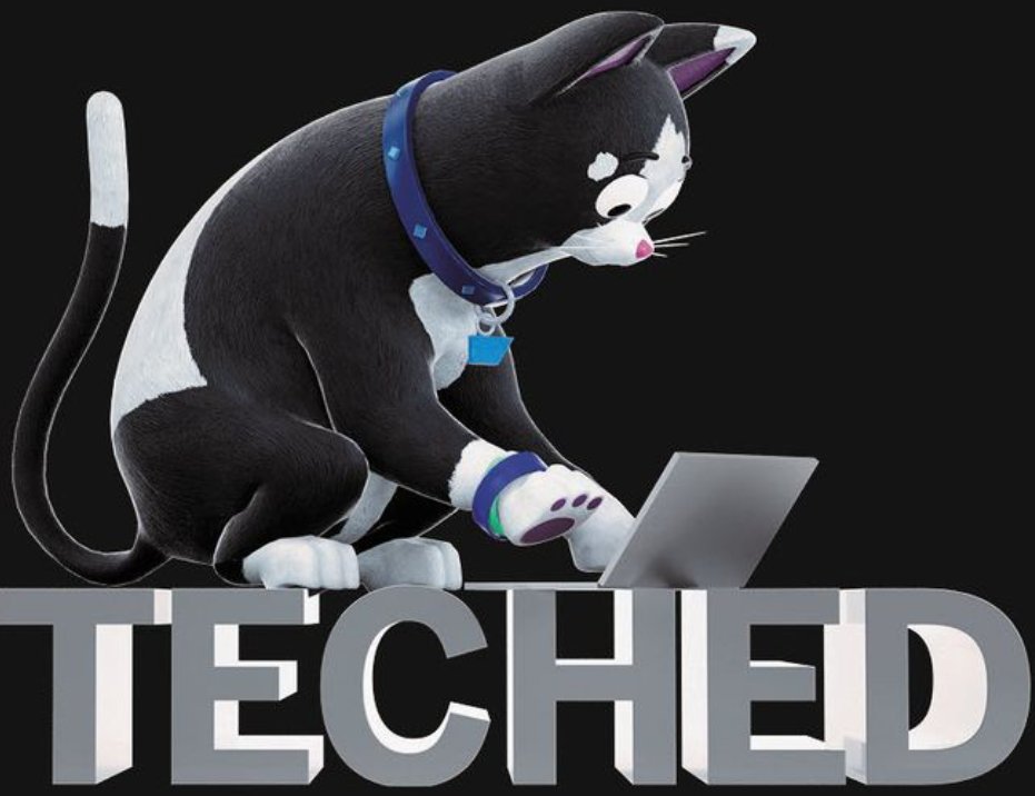 Mariettalg's tweet photo. #Kasimir the #TechEd cat is back! https://t.co/STashyVvsv