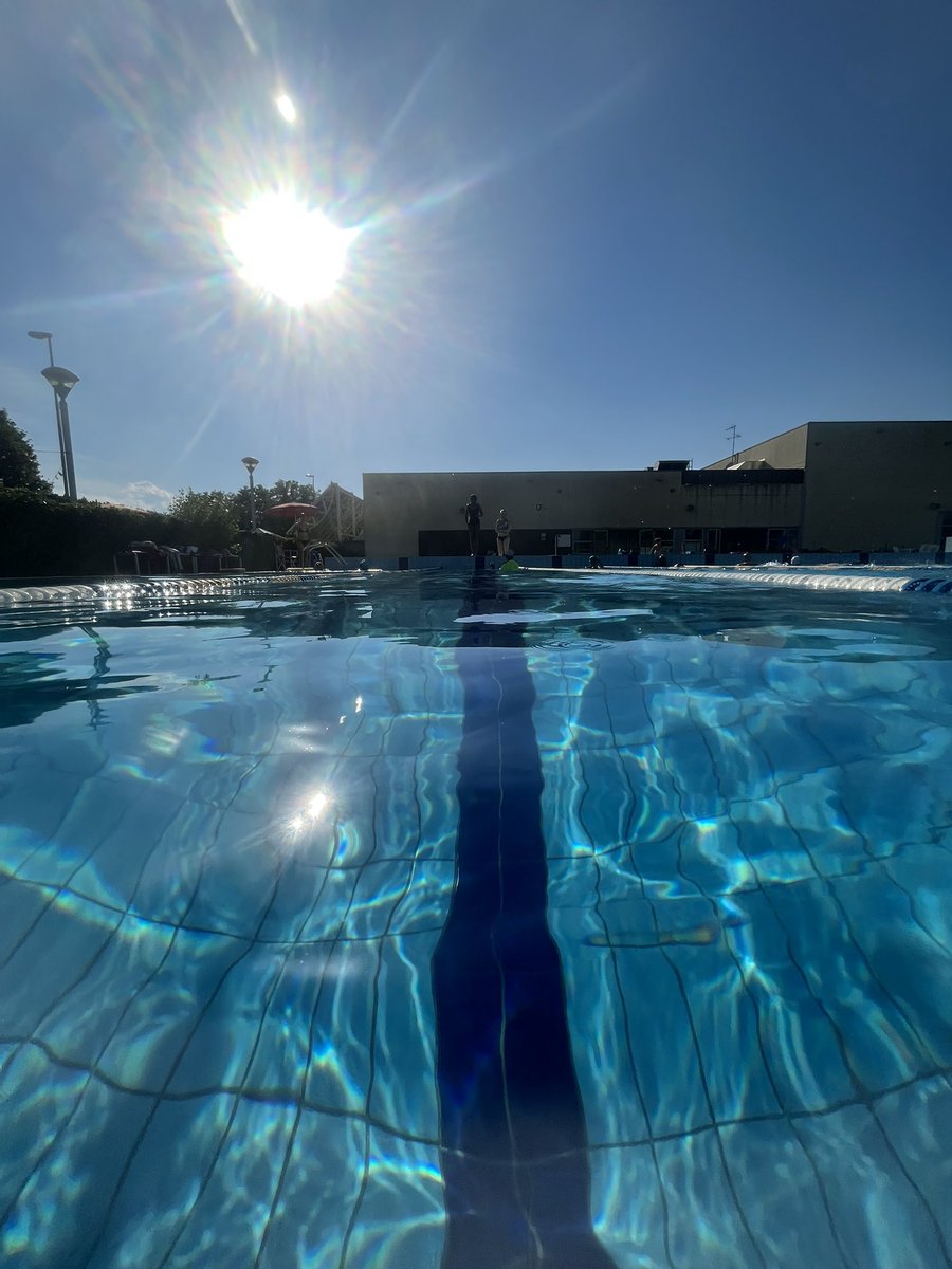 merpeltje's tweet image. Much needed swim sesh #ISWS2022  32°C #pooltime