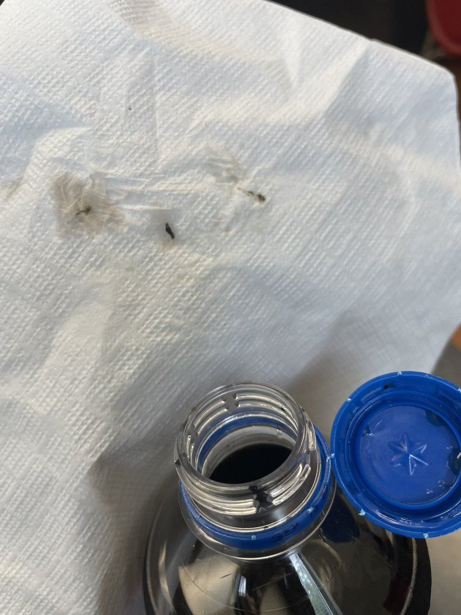 Yo Daddy’s Handler 😈 tweet media