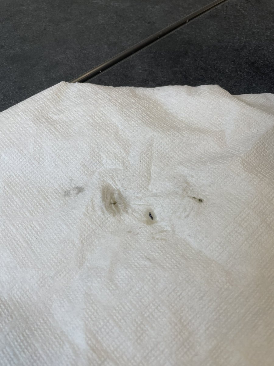 Yo Daddy’s Handler 😈 tweet media