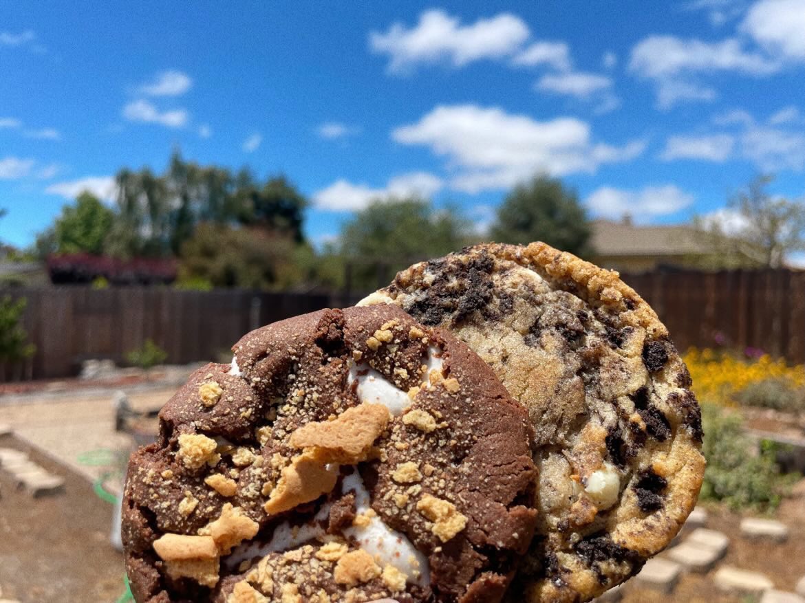 samantha__rene's tweet photo. hi, doing another round of cookie boxes for donations to abortion funds! everything is vegan friendly and able to be shipped priority in the lower 48, hit the instagram for more info and ordering 💖 instagram: @ snaccbakery. feel free to share around! https://t.co/l7G6T5PTAJ