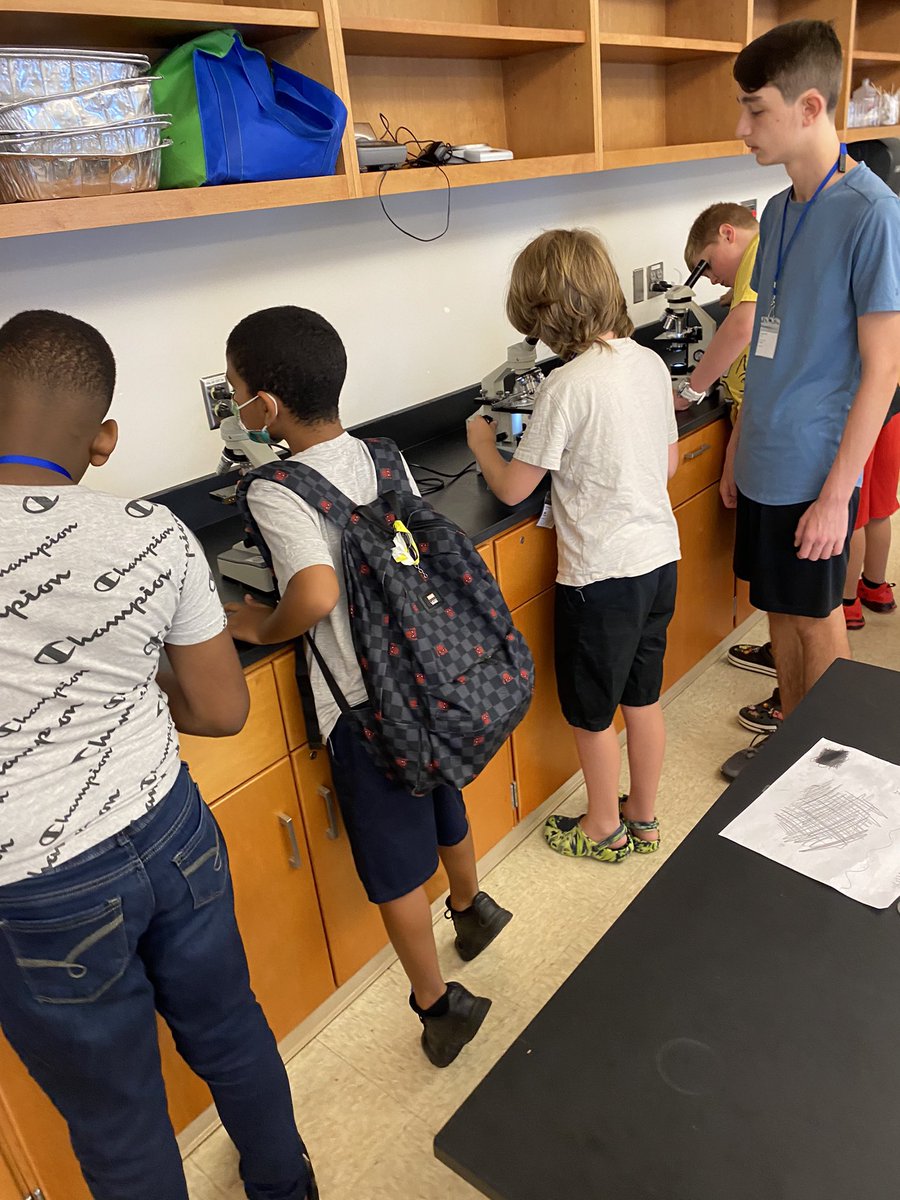 Mr_ Evans_Science tweet media