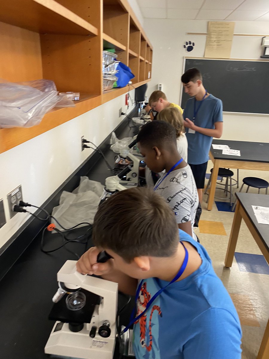 Mr_ Evans_Science tweet media