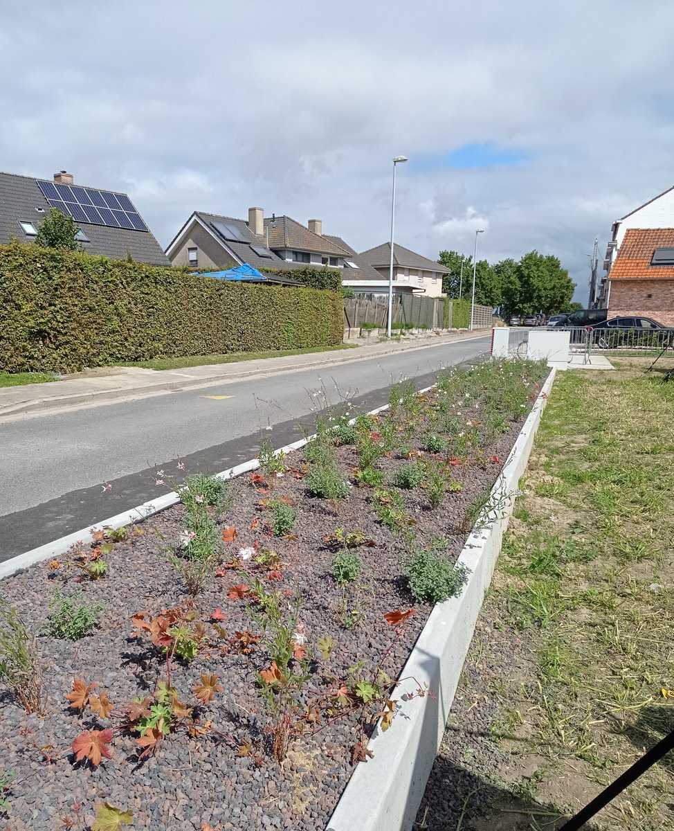 VLMtweet's tweet photo. Mooi innovatief voorbeeld om de waterkwaliteit te verbeteren. Vandaag werd in Ledegem het eerste Water-Land-Schap 2.0 project gelanceerd. 😊👍🏻
https://t.co/96AtmBFsM9
#Hellowater #waterlandschap https://t.co/87L3idMmIj